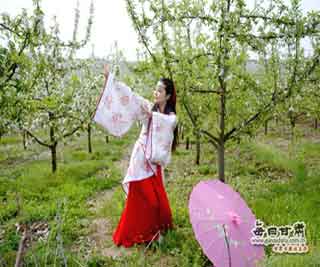 2017年5月4日甘肃手机报晚报刊发每日甘肃网文艺创作专题